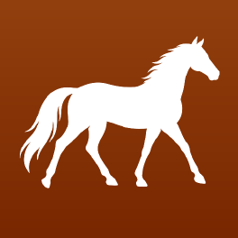 Betfair Place Market Trading: Pre-Race Guide