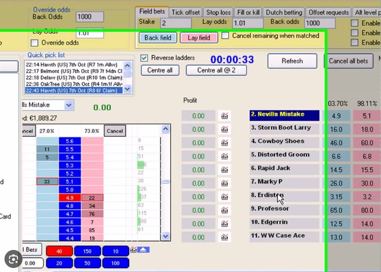 How to Set Up Gruss Betting Assistant Ladder for Betfair Trading (UK Guide 2026)